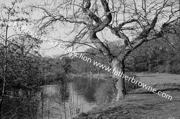 RIVER LIFFEY WEIR AT LEIXLIP